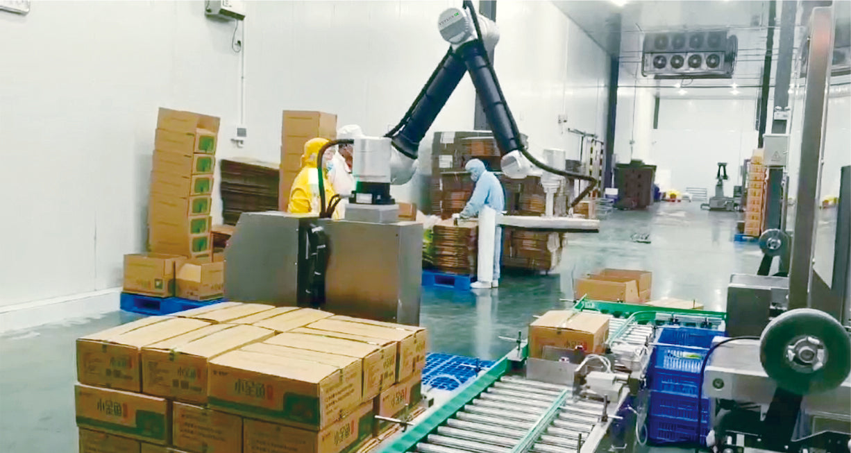 Collaborative Palletizing Robot Machine