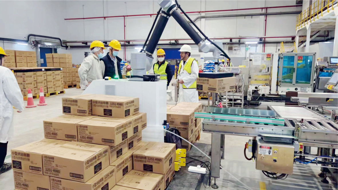 Collaborative Palletizing Robot Machine