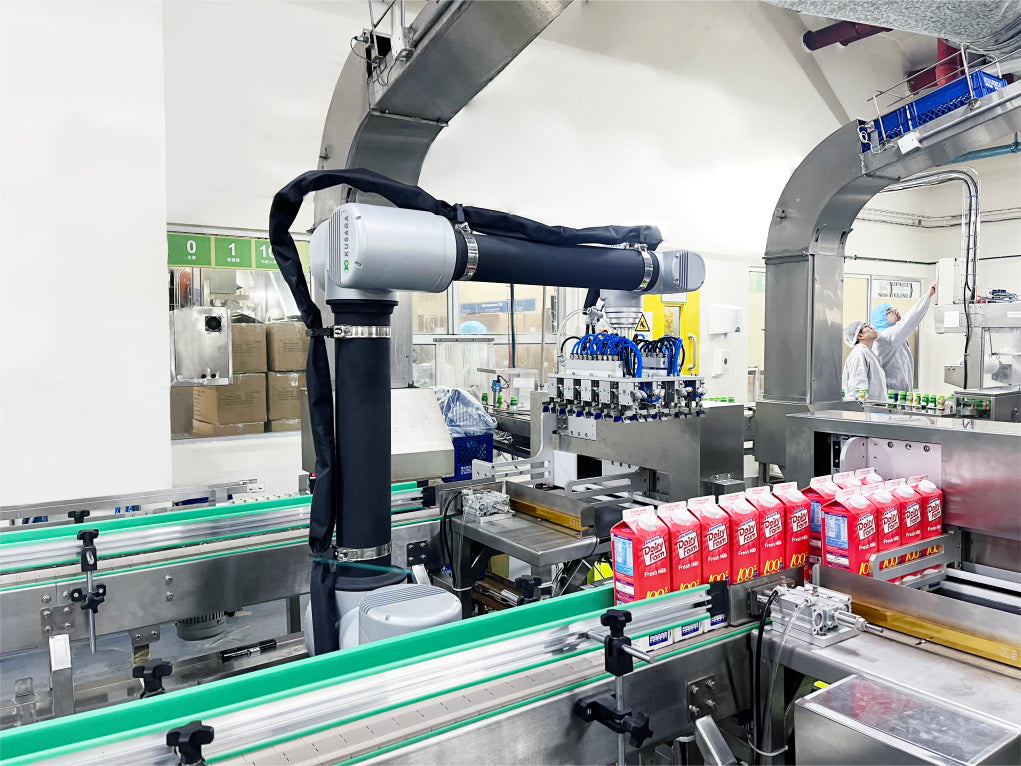 Collaborative Case Packing Robot Machine