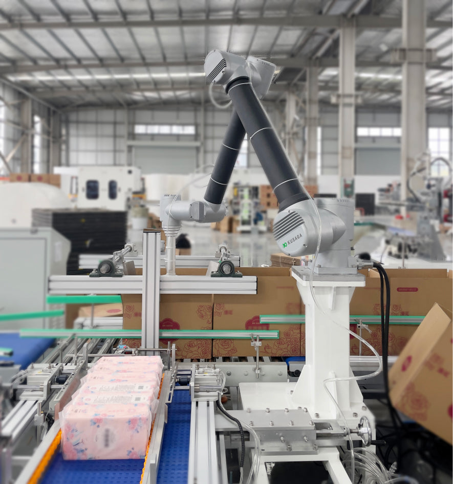 Collaborative Case Packing Robot Machine