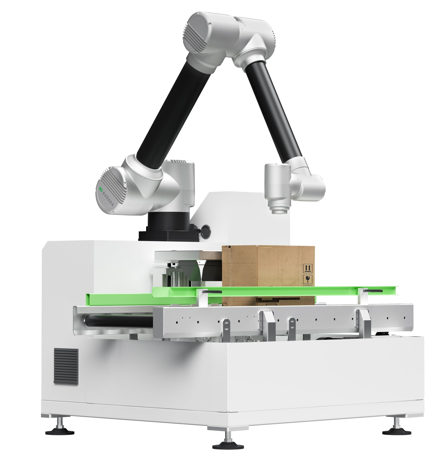 Collaborative Case Packing Robot Machine