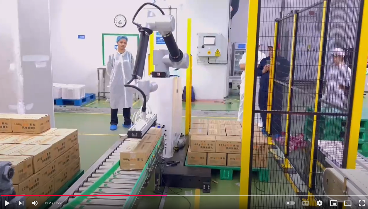 Load video: KUSAGA Palletizing Robot
